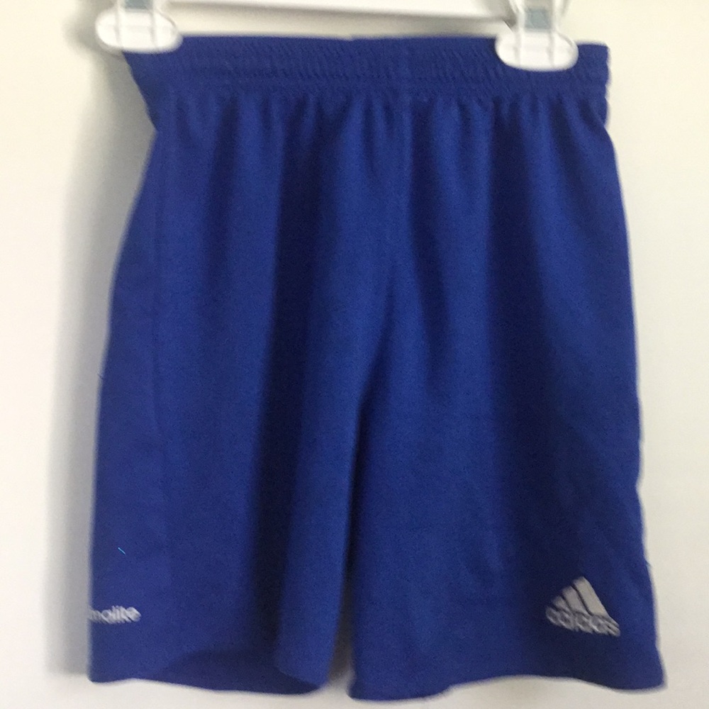 Blue Adidas shorts